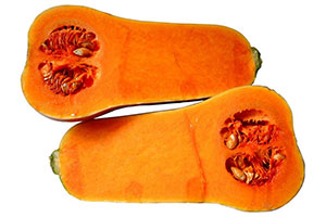 dynia butternut