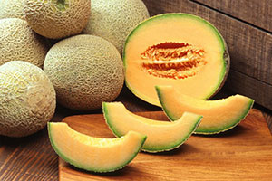 melon kantalupa