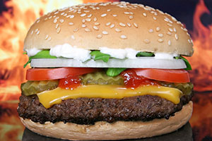 hamburger z fast fooda