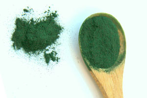 spirulina suszona