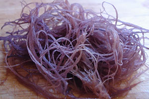 wodorosty gracilaria lub ogonori suszone
