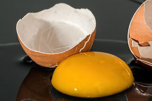 żółtko jaja kurzego