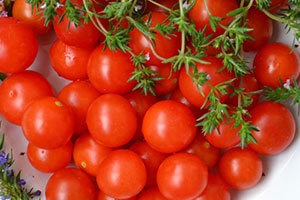 pomidor czereśniowy