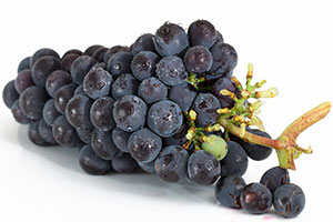 winogrona czarne